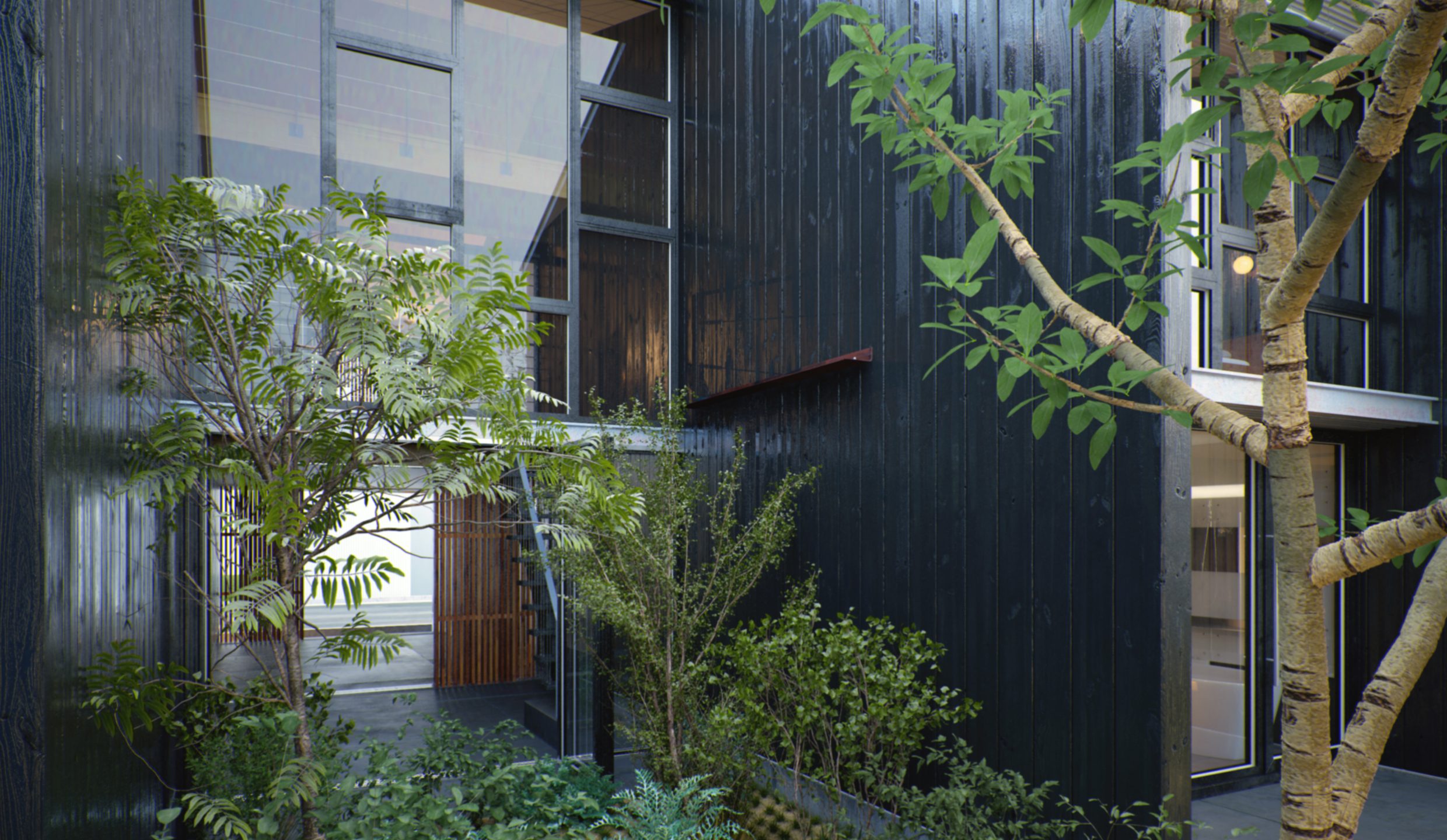 FIN Studio – FIN Studio